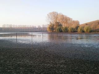 Frasinet was - become